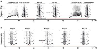 Difference in the songs of paired and unpaired southern yellow-cheeked gibbon males (Nomascus gabriellae): social status or age?